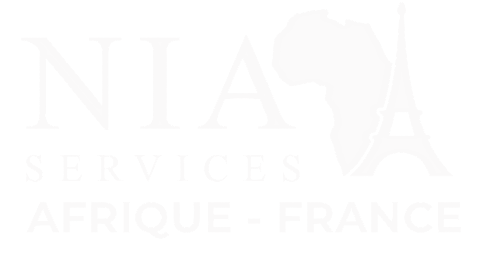 Logo NIA Services Afrique–France